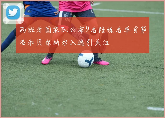 西班牙国家队公布9名陪练名单贡萨洛和贝尔纳尔入选引关注